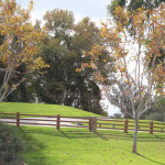 Rancho Santa Margarita homes